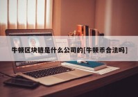 牛顿区块链是什么公司的[牛顿币合法吗]