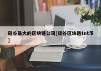 硅谷最大的区块链公司[硅谷区块链tnt币]